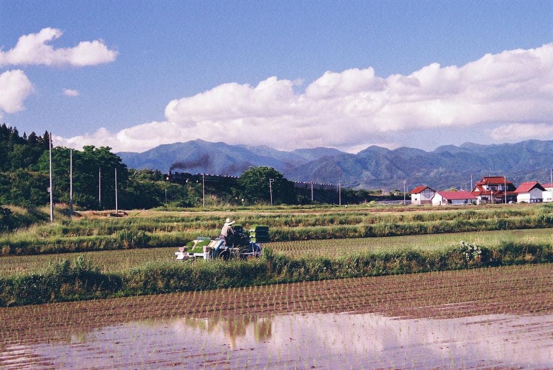 【実写確認整備品】オリンパスOM2000／35-70mmf3.5-4.81BF付