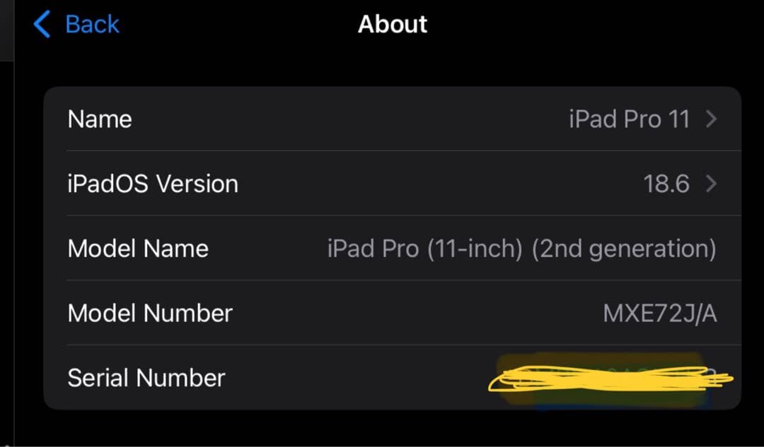 iPad Pro11インチ WiFi+Cellular 512GB Silver