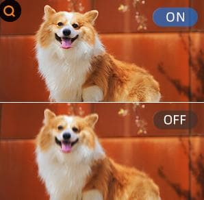 5Kビデオカメラ 手ぶれ補正 10倍ズーム 赤外線暗視 タイムラプス 撮影