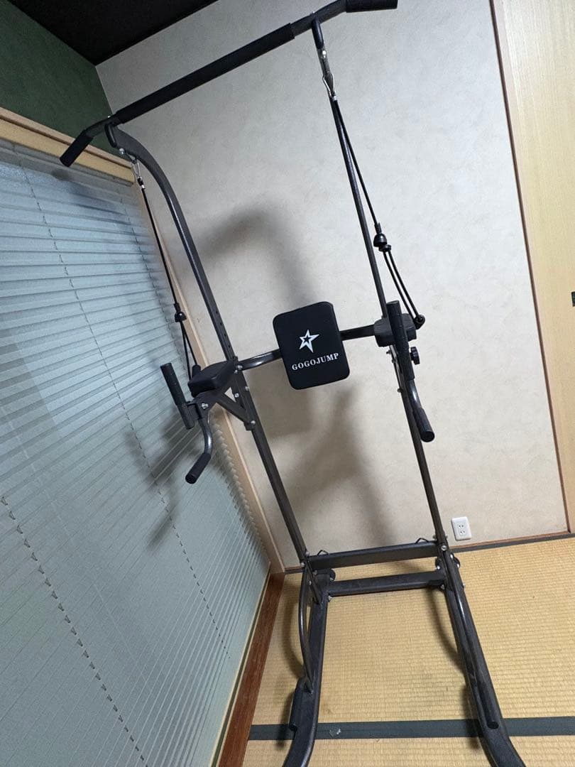 調整式多目的ぶら下がり健康器 最後のページがお送りする個体です。