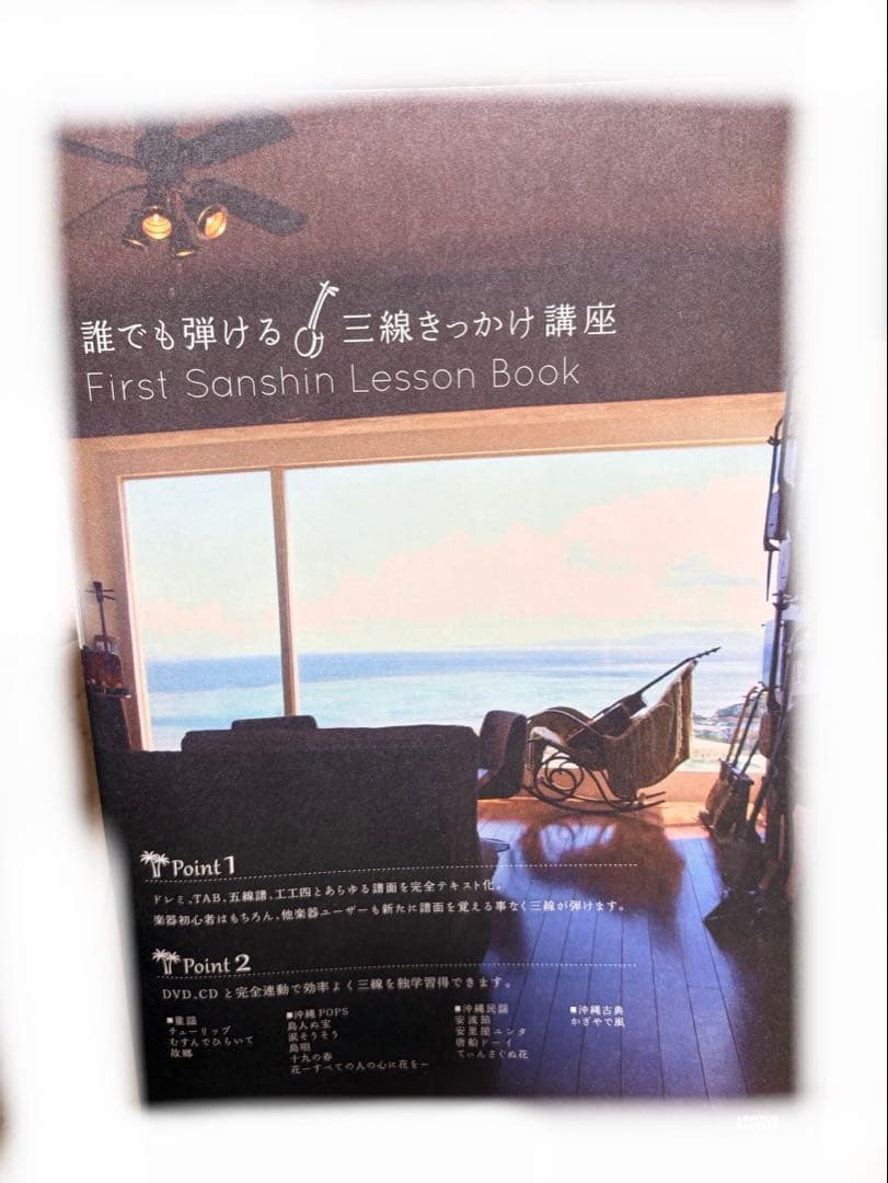 三線本体 人工蛇革　ソフトケース付き　スタンド付き　沖縄　琉球