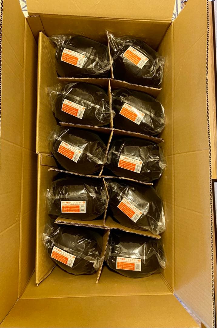 ビューラックス 美容師実技試験用 カットウィッグ 未使用10体