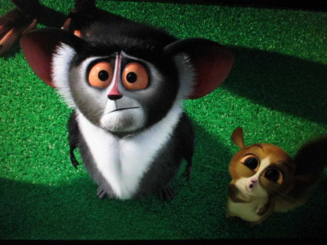 動作良好☆SHARP 2番組同時録画 ブルーレイレコーダー BD-HDW55