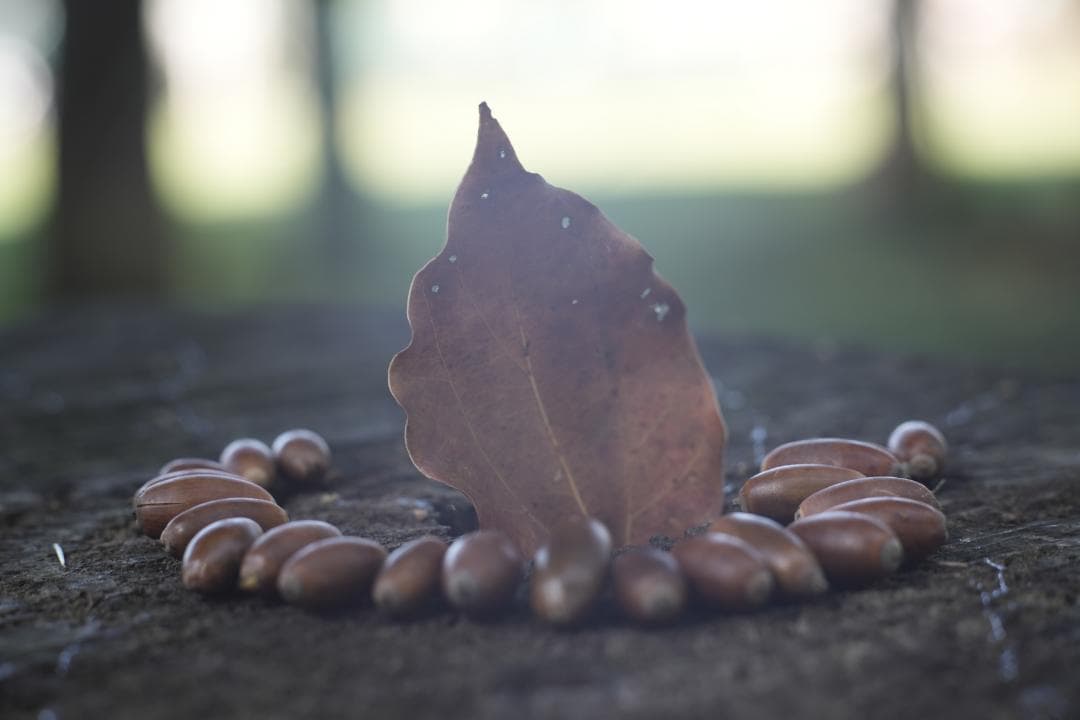 KMZ PO-2-2M 75mm f2 ライカM改 シネレンズ スピードパンクロ