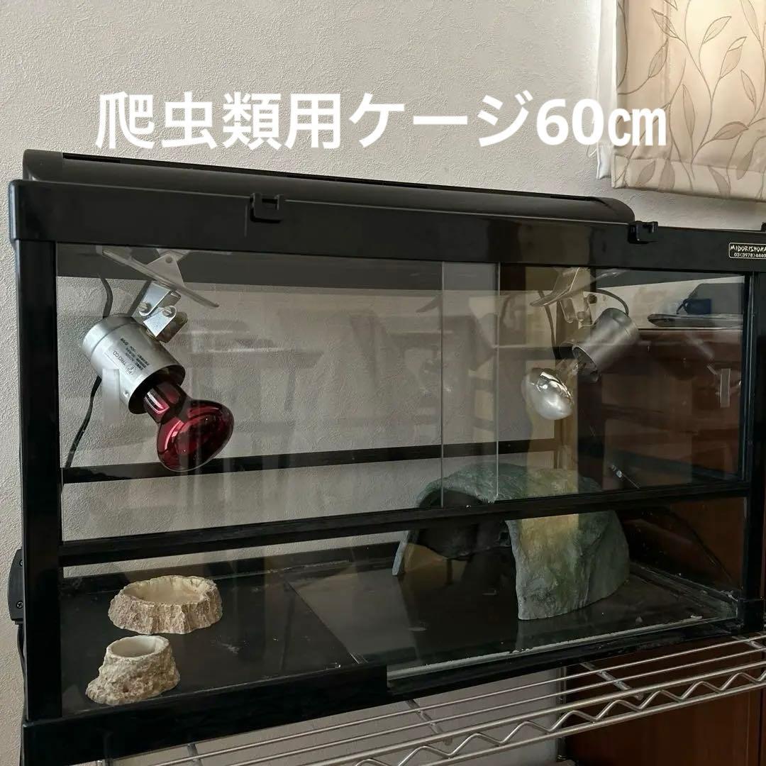 【リクガメ】【トカゲ】爬虫類飼育ケージセット
