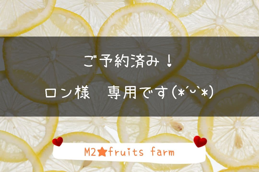 【ꕤ419】はるか『ご家庭用』熊本みかん（20kg）