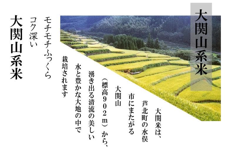 令和6年熊本産ヒノヒカリ大関山系米【20kg】標高150ｍ以上の山間地で育った米