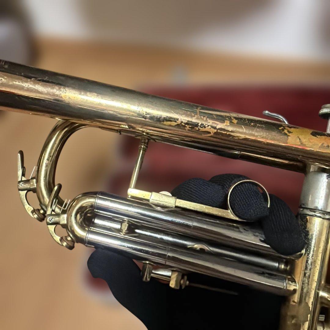 トランペットニッカン