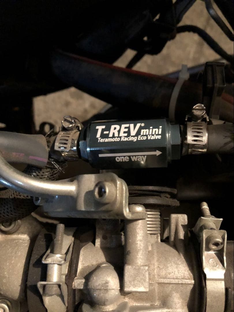 TERAMOTO T-REVmini シグナスX 4〜5型用