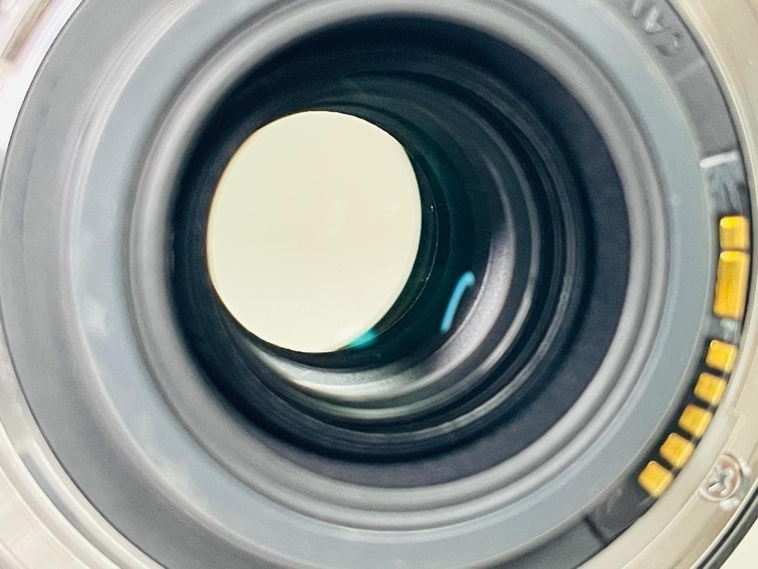 美品☘️Canon EF-S 18-200mm F3.5-5.6 IS キヤノン