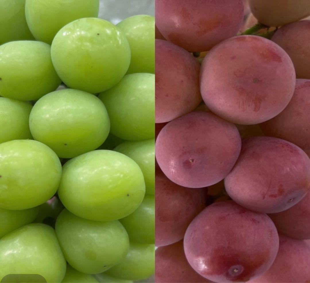 きみおさん専用