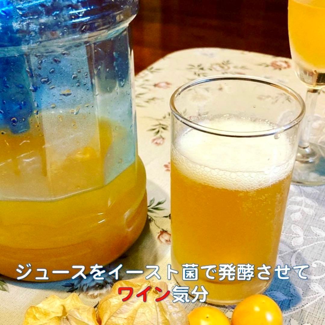 専用出品です　食用ほおずき　オレンジチェリー(ゴールデンベリー) 小粒2kg.