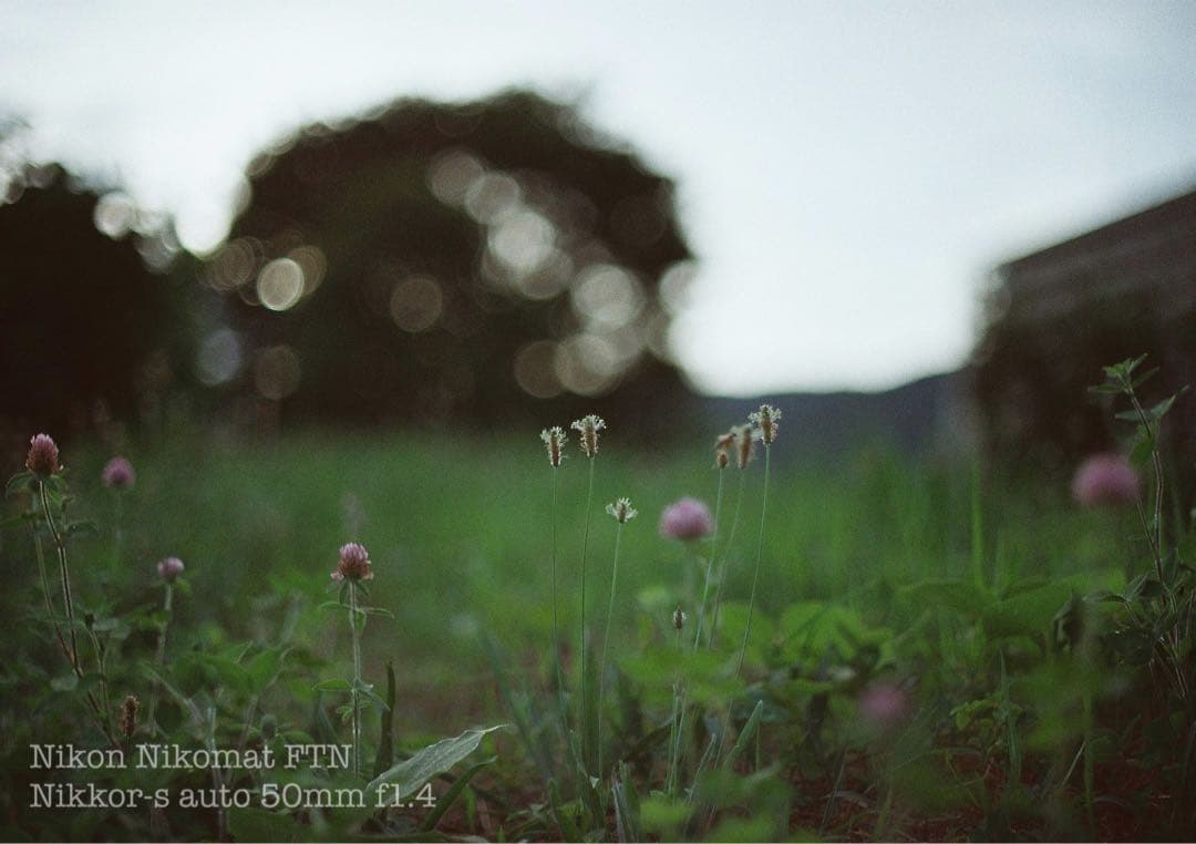 Nikon FTN◆nikkor f1.4★完動品＊美品＊初期保証★作例多数