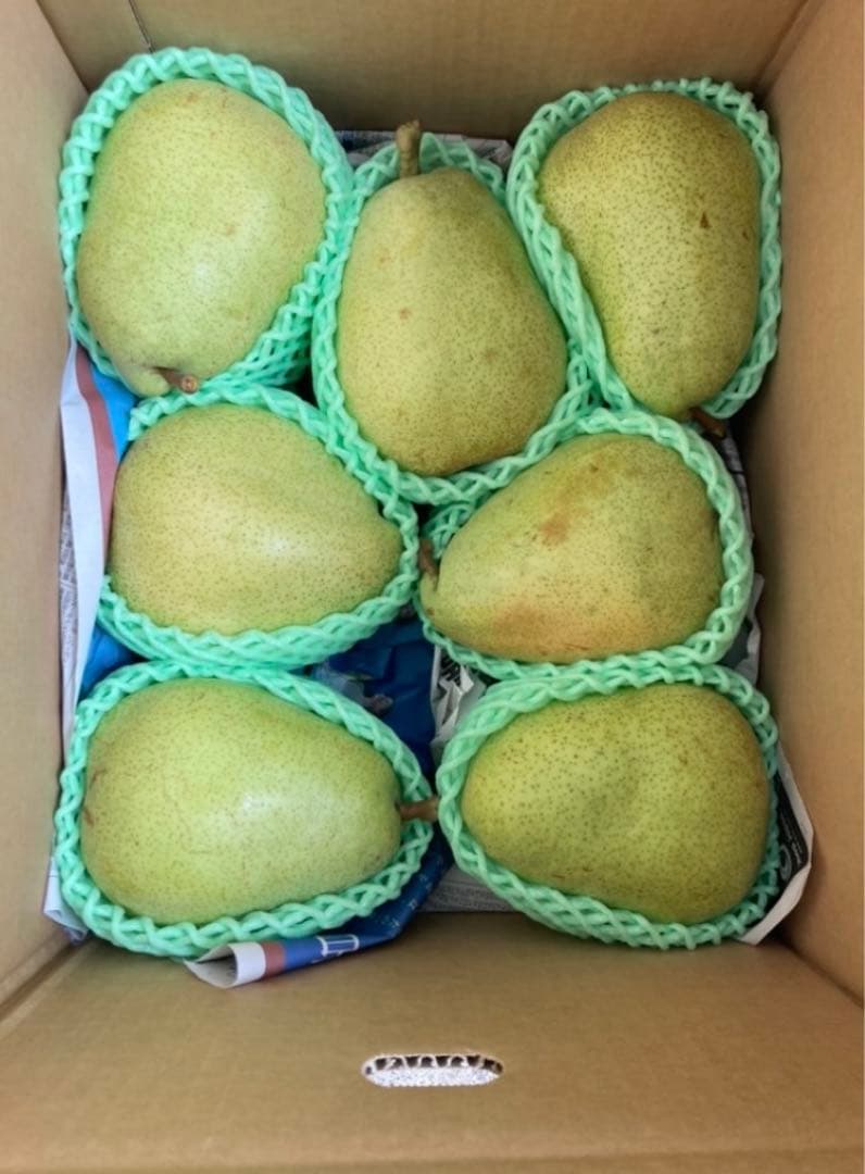 山形県産「マルゲリット・マリーラ」家庭用 10キロ箱✖︎二箱