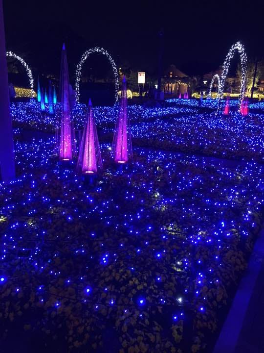 パオパオページ♡