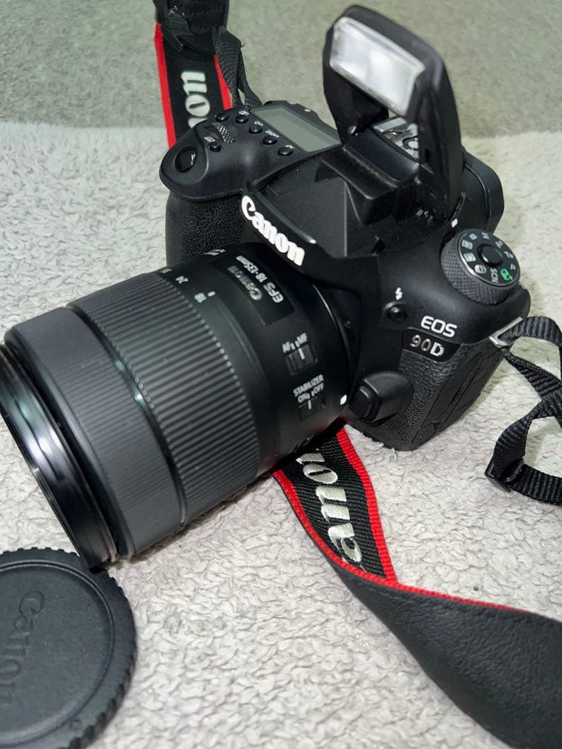 Canon EOS 90D + レンズ +バッグセット Canon 90D