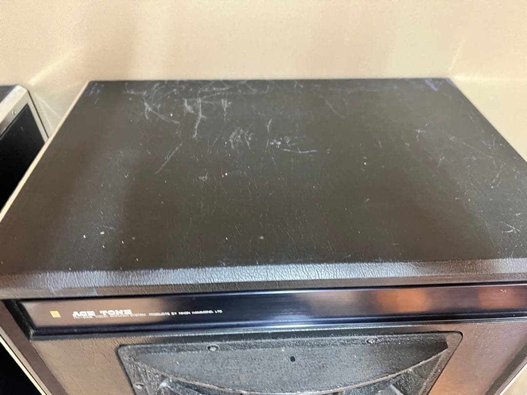 ACE TONE PH-1200S ボーカルアンプシステム