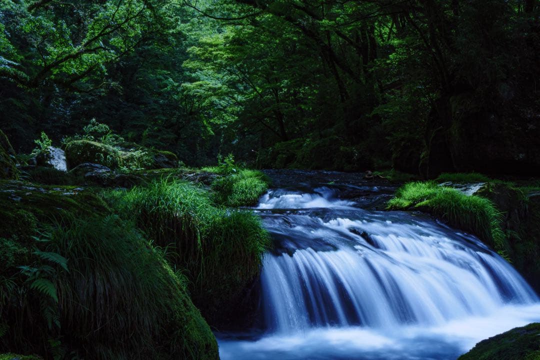 デジタルカメラ LUMIX DMC-GX8