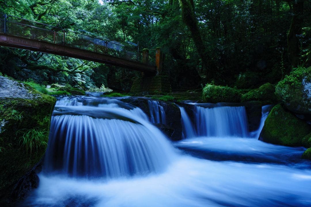 デジタルカメラ LUMIX DMC-GX8