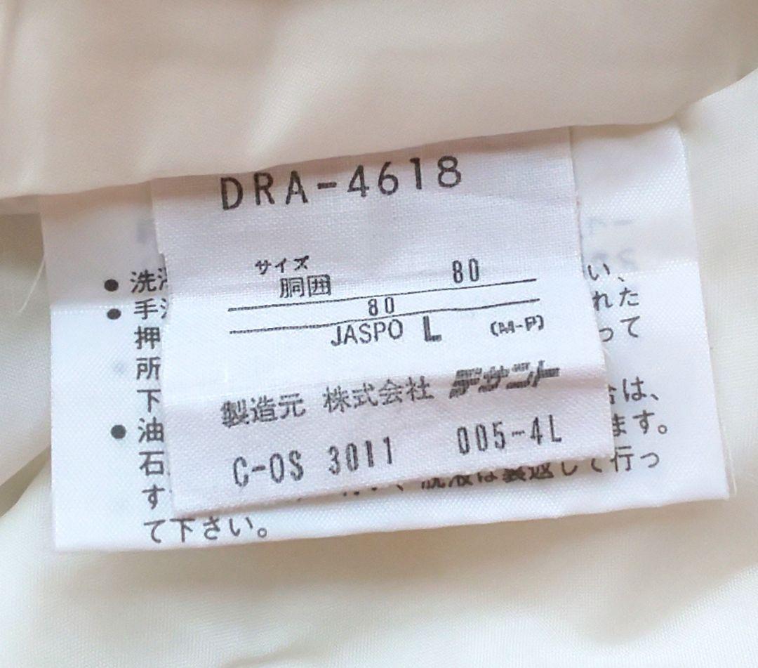 スキーウェア 上下  DESCENTE  送料無料