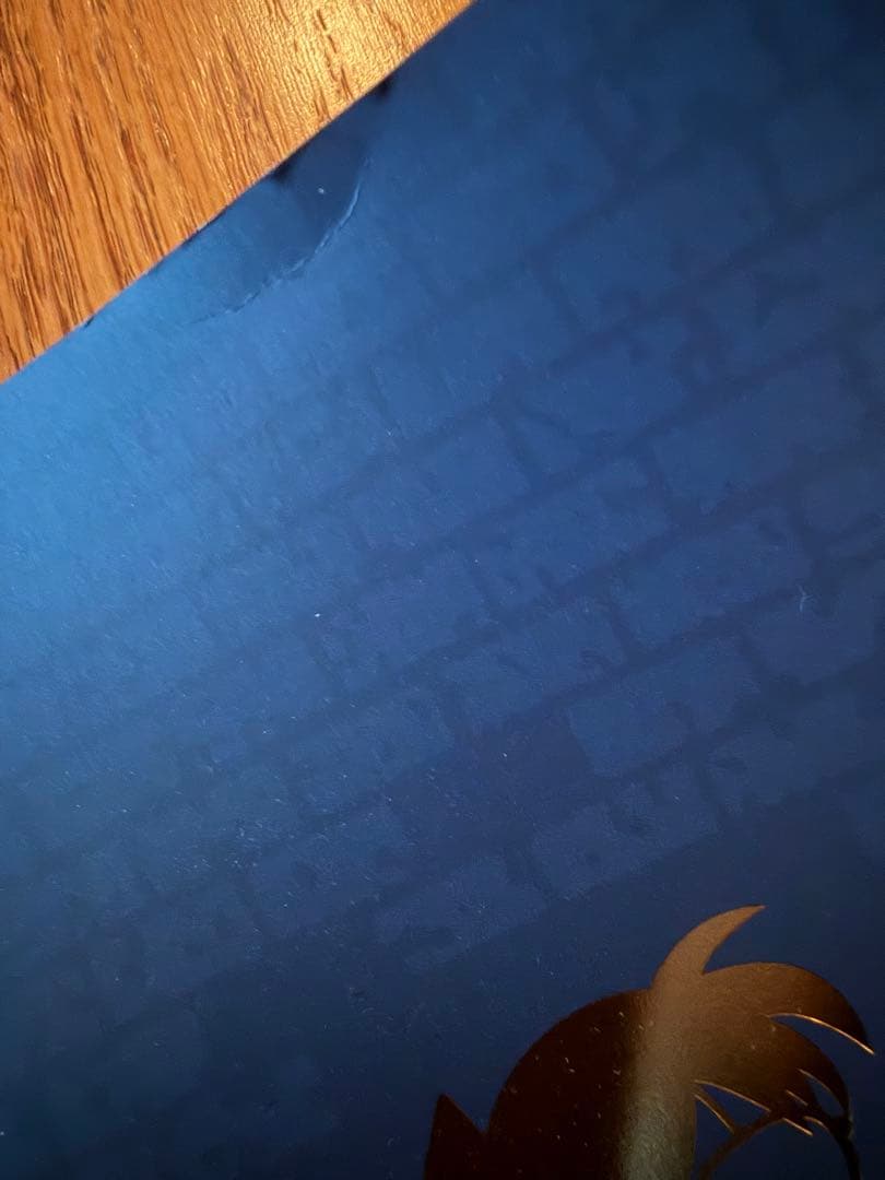 名探偵コナン　コンサート 2019・2025 S席限定グッズ