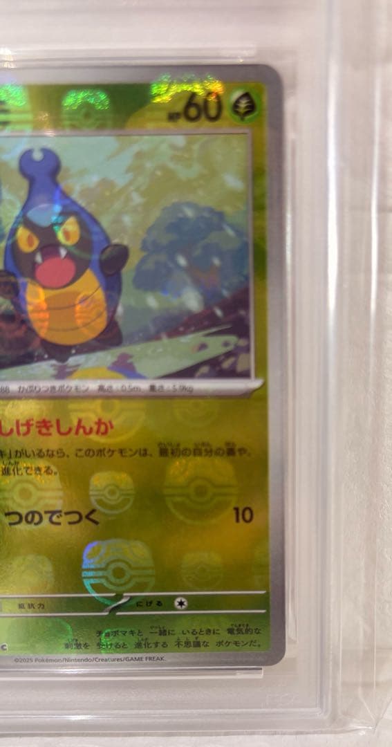 【PSA10】マラカッチ カブルモ マスターボールミラーSV11B 2枚セット