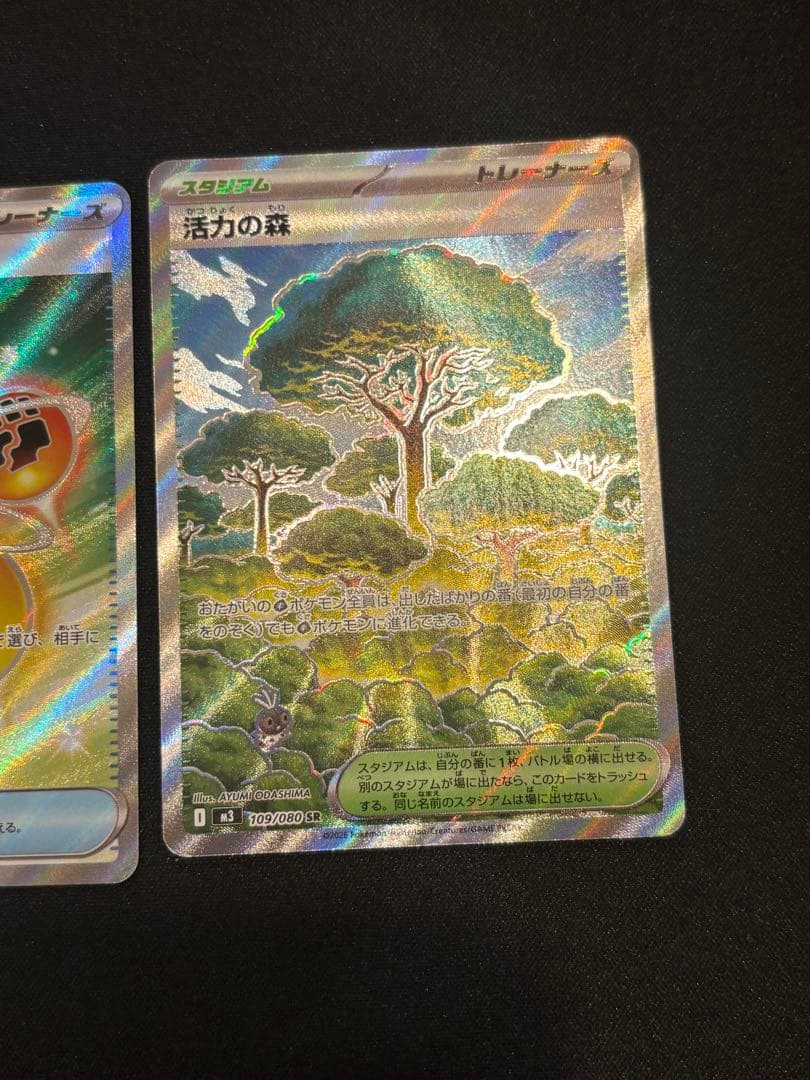 メガジガルデex SAR まとめ売り