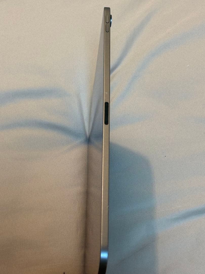 Apple iPad Pro12.9インチ256GB WiFiモデル