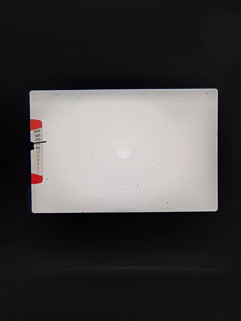 超美品 ニコン EM フィルムカメラ モルト新品交換済 H030