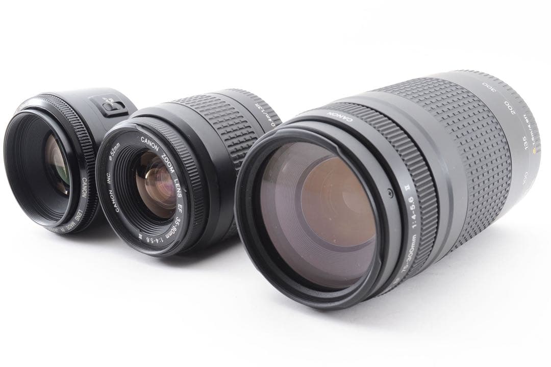 保証付/一眼レフカメラCanon EOS 5D Mark IVリプルレンズセット