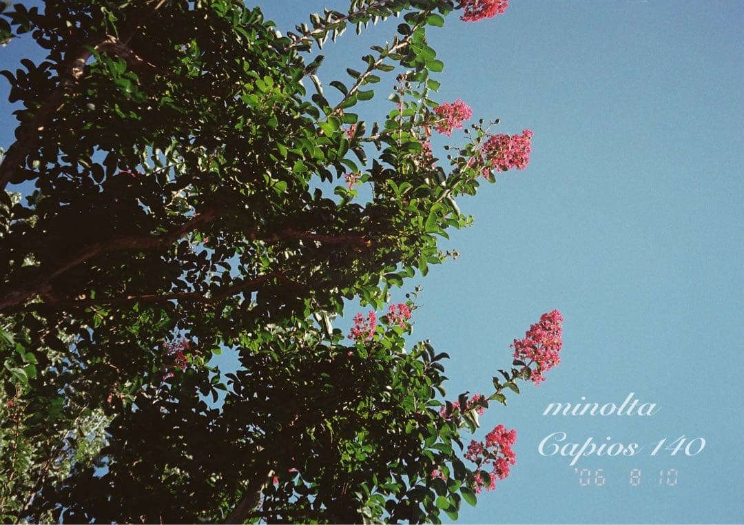 フィルム入門に！minolta capios140★超美品！初期保証付き