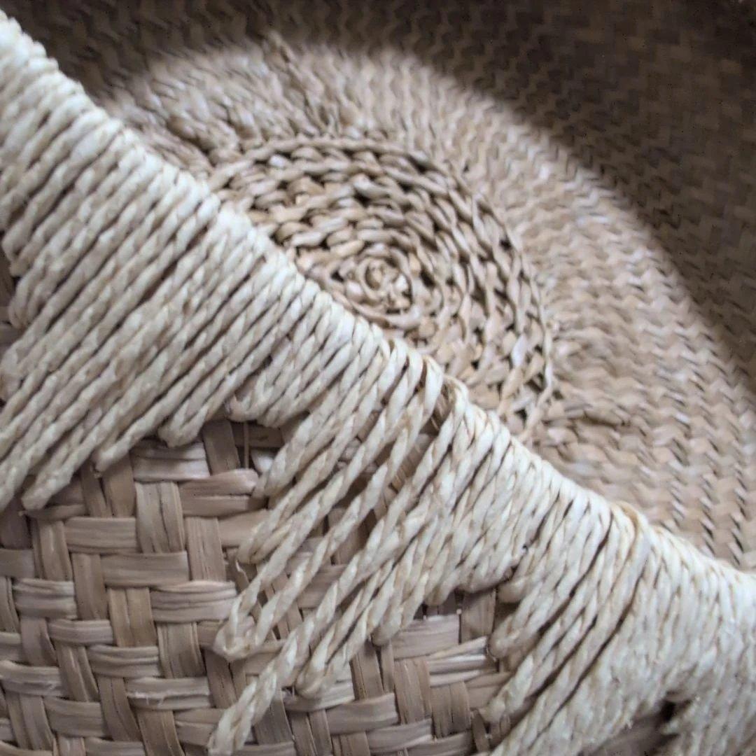 ミイミイ【shoppingcart】展覧会