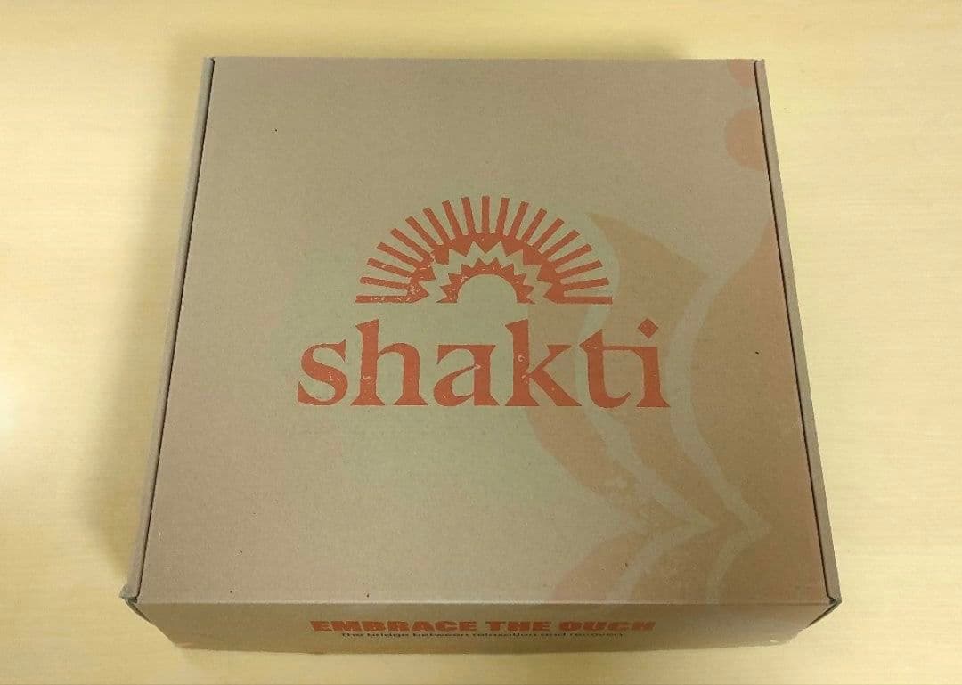 【正規品】タグ付き　シャクティマットandピローセット