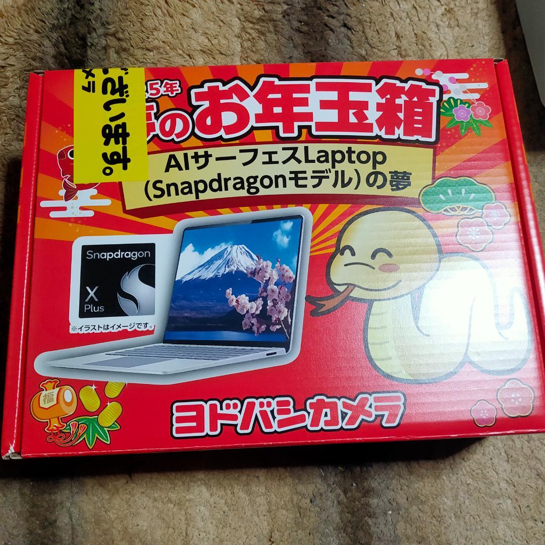 ヨドバシカメラ福袋2025 Alサーフェス