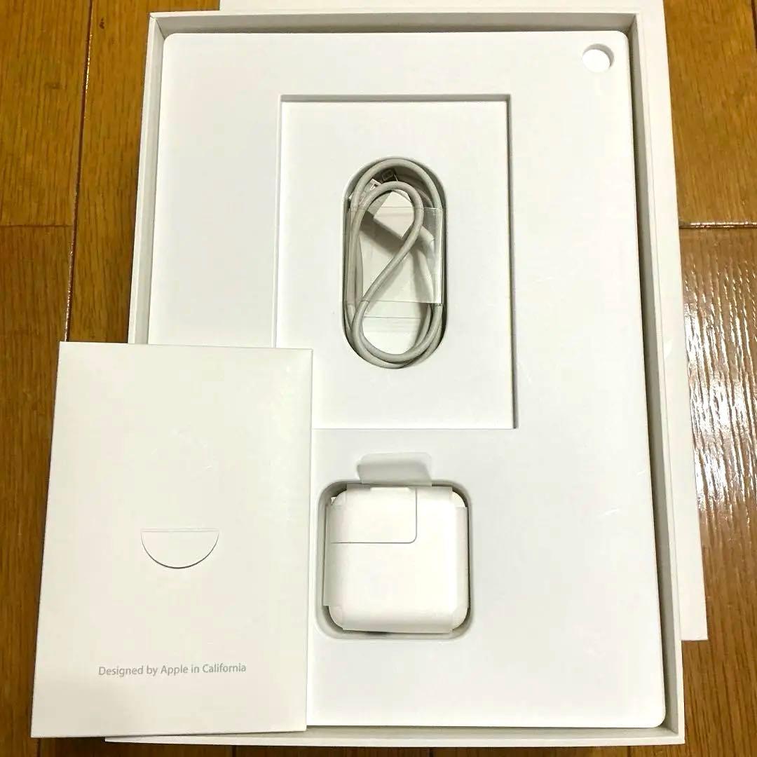 iPad Pro 9.7インチ　第1世代　128GB　Wi-Fiモデル　充電器付
