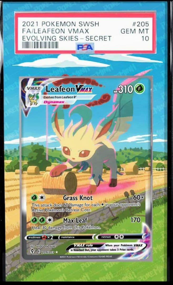 リーフィアVmax sa 用 PSA ケース ポケモンカードケース ポケカケース