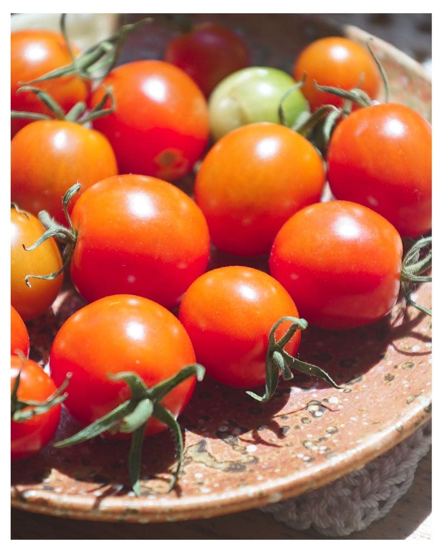 【ショット数4543枚！】SONY α7S 初代