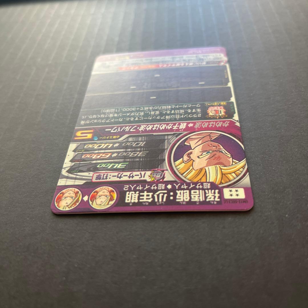 UM12-SEC3 LC 孫悟飯:少年期　SDBH