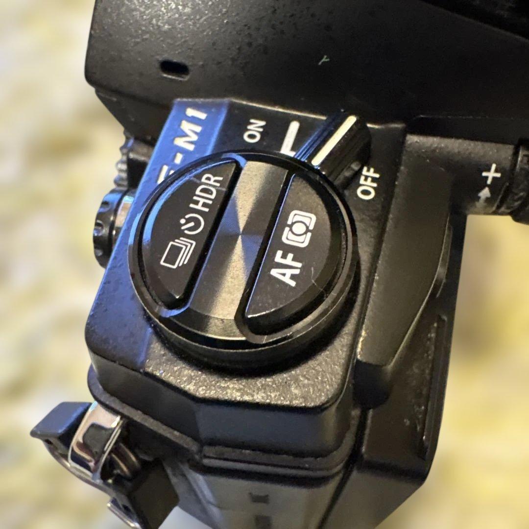 オリンパスOLYMPUS OM-D E-M1 ボディ 黒