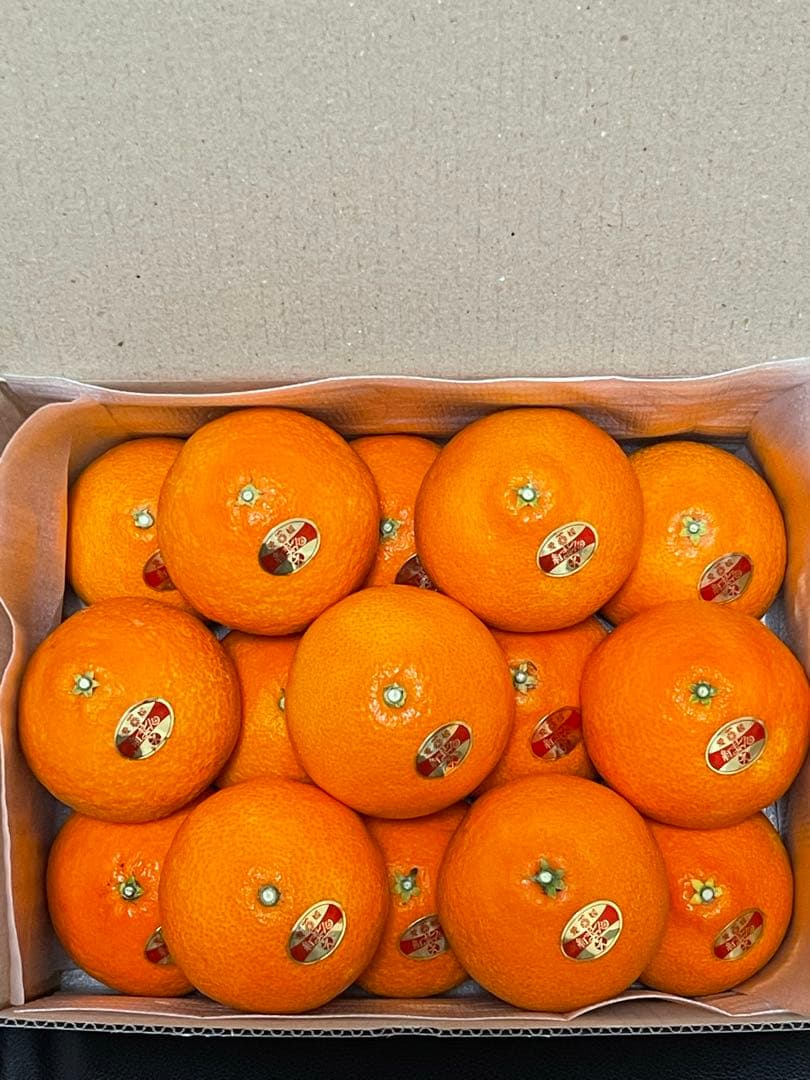 愛果28号(紅まどんな同品種)⚠贈答用x2箱