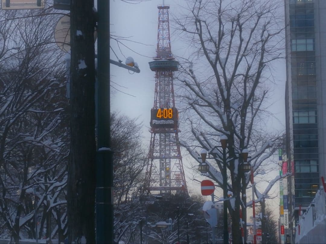 [美品] OLYMPUS VH-210 オレンジ