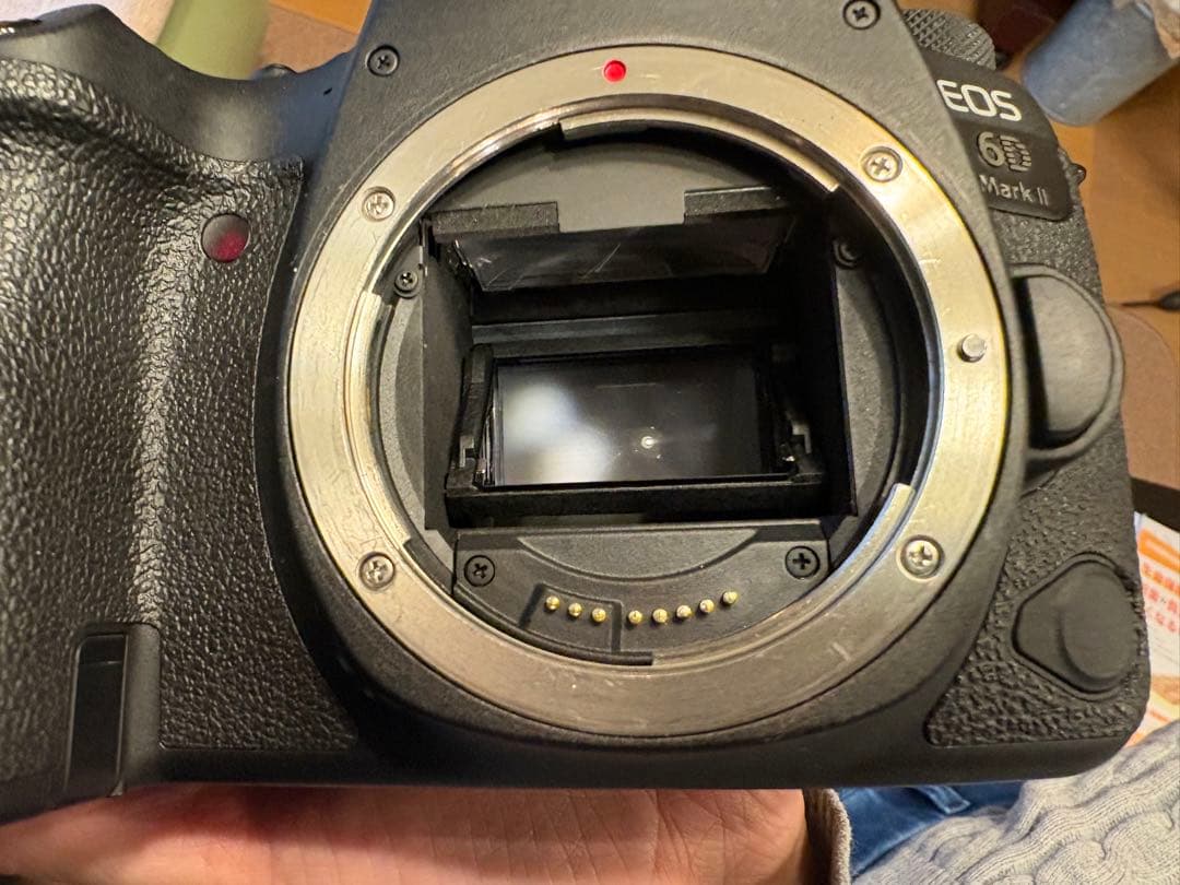 mmRj さん専用 Canon EOS 6D Mark II 本体と付属品