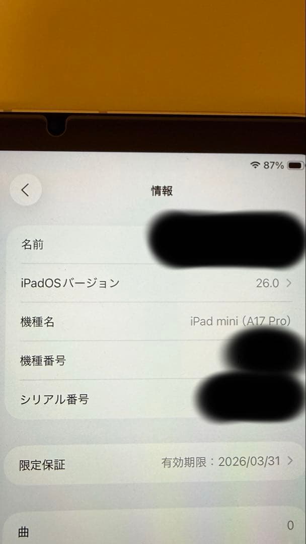 【早い者勝ち】【美品】iPad mini 第7世代 256GB Cellular