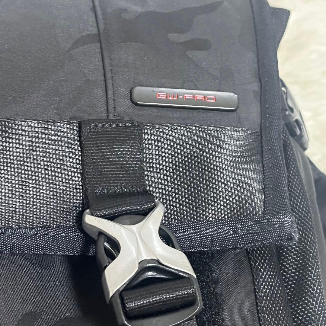 HAKUBA カメラバッグ GW-PRO RED L