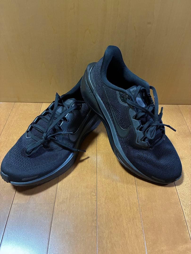 【25.5】ナイキペガサス41 NIKE Pegasus 41