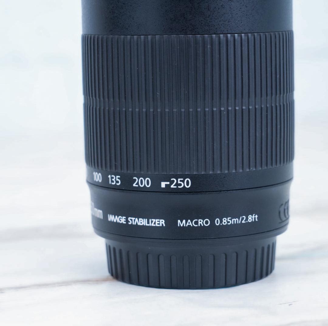 【高性能望遠レンズ】Canon EF-S 55-250mm IS STM 美品