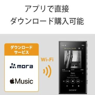 【美品】SONY ウォークマン ハイレゾ対応 MP3プレーヤー NW-A106