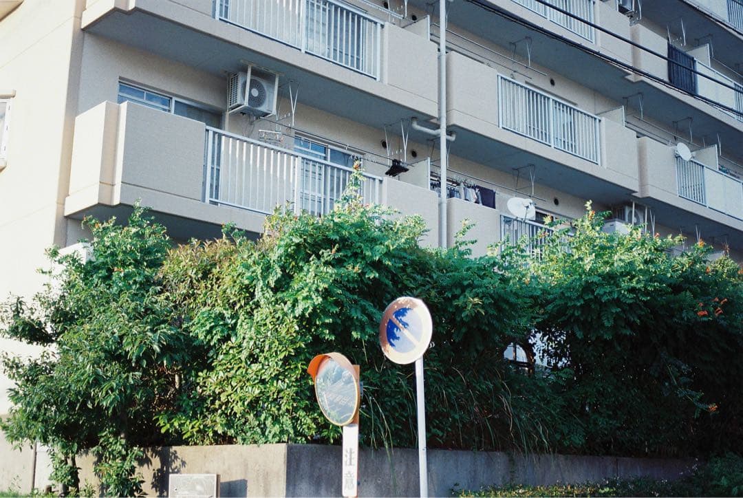 【撮影済み】Canon Autoboy S ブラック　コンパクトフィルムカメラ