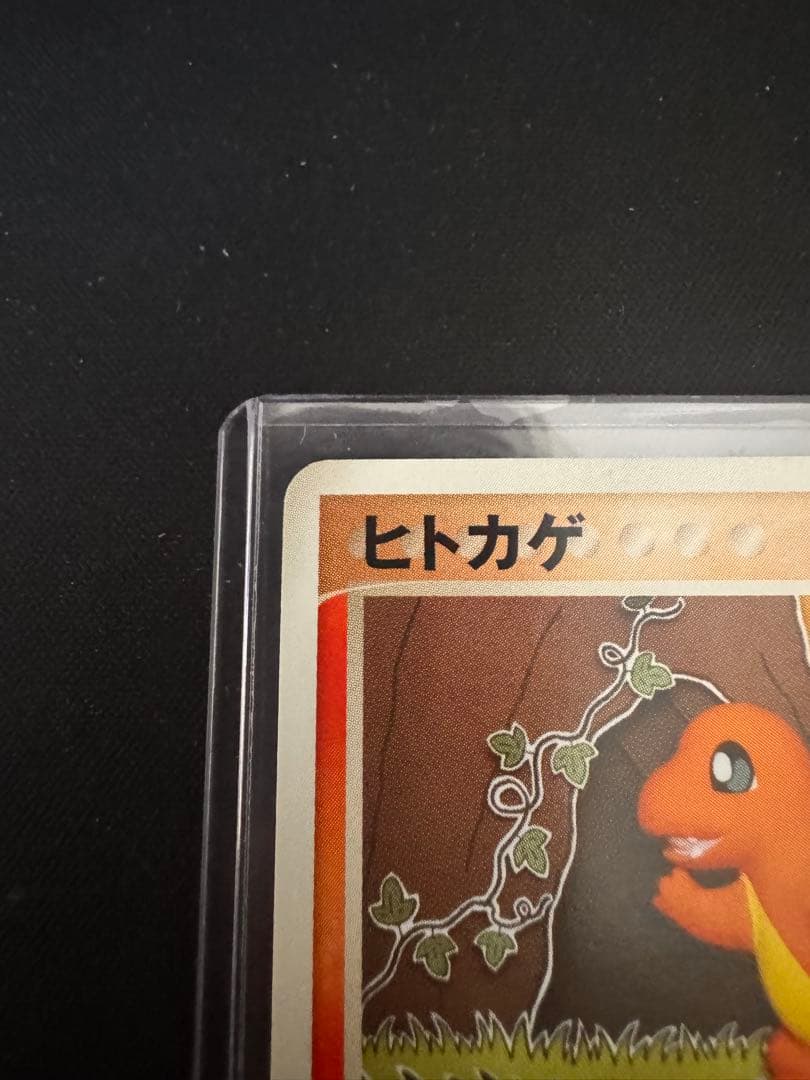 WCP ワールドチャンピオンカップ アンリミ　ヒトカゲ　リザード　セット