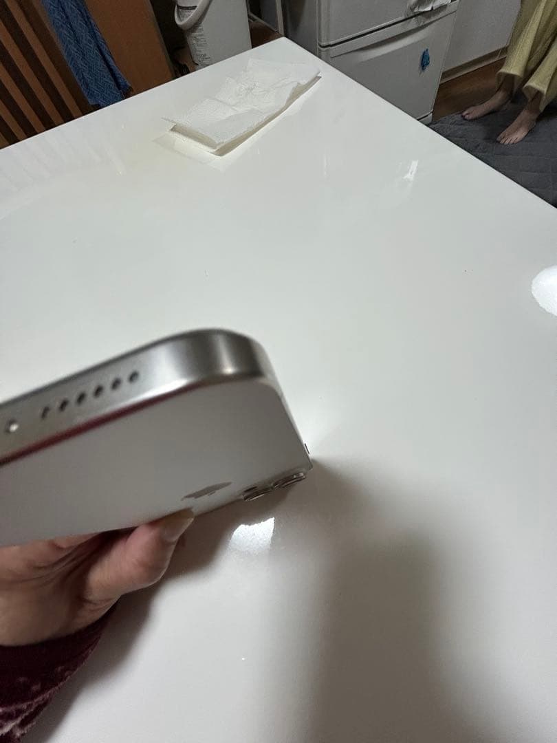 iPhone 15 PRO MAX 1TB　ホワイトチタニウム / SIMフリー